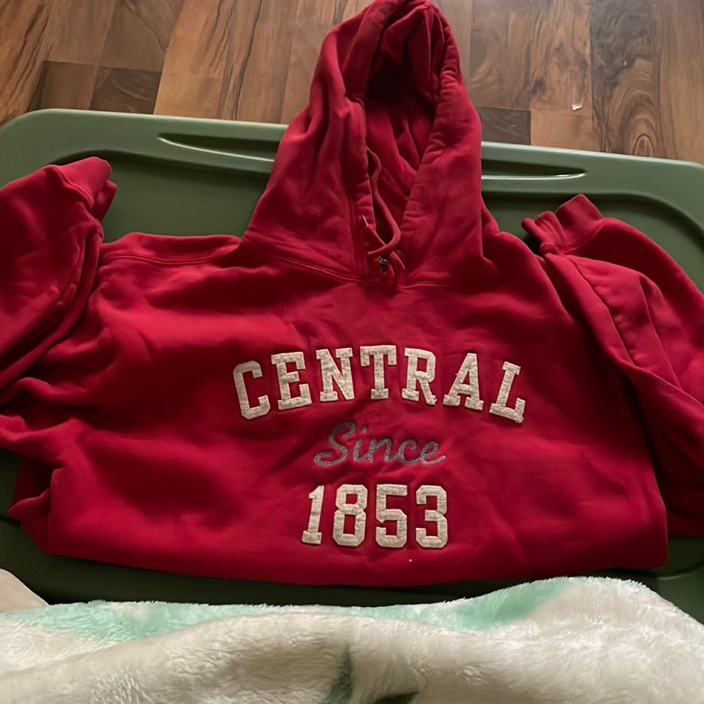 Very good condition, no holes or stains